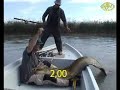 enorme pesce siluro
