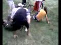 fiestas de piquera 06
