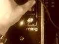 Treating a drumkit through the Moogerfooger filter