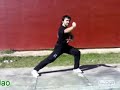 Choy Lee Fut Golpes Básicos: Fu Jao