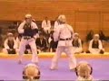 nippon kempo PV2