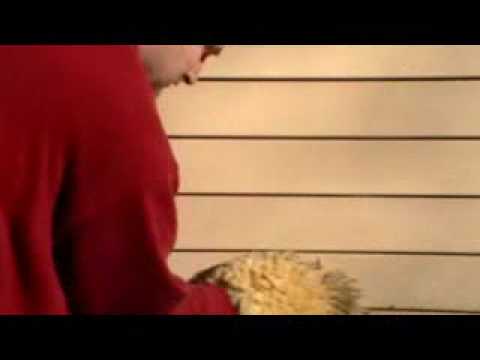 how to remove spray paint from skin