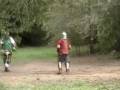 Knight Fights