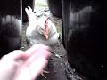 sony ericsson k850i video test
