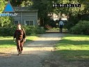 La minute d\