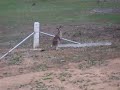 ROOS on Campus July 13, 2008