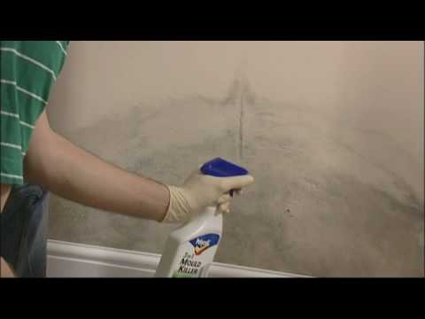 how to remove mould