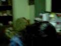 Promo 2003 Reencuentro Parte 01