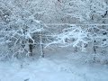 Winter Wonderland Dreiländereck Holland, Niedersachsen und Westfalen