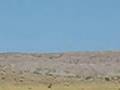 Mysterious Desert Flying Objects