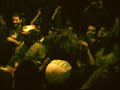 Cover de Tina Turner - \"Rolling In The River\" - Trash 80\ Cover de Tina Turner - \"Rolling In The River\" - Trash 80\