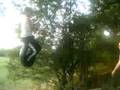 Ellie On The Swing x