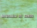 Naturaleza del sonido.avi