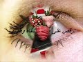 احلا اغنية وفيق حبيب الله عليكي من ناصر عواودة.wmv