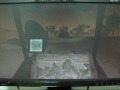 極地戰嚎2 far cry 2 北部 武器店任務 nothern weapon shop mission part III.wmv