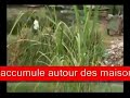 Brazzaville la poubelle.