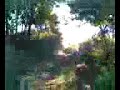 dirtbike crf50 hillclimb