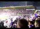Fiorentina in Champions League: Festeggiamenti dalla Fiesole