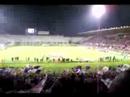 Fiorentina in Champions League: Festeggiamenti dalla Fiesole