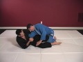 Roy Dean Academy BJJ: Purple Belt Requirements