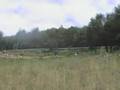 PaHo Bassano paragliding 2006-6 5of8