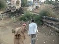 Índia - Mandawa Índia - Mandawa