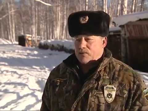 Хозяин тайги новый сезон 2018 Хозяин тайги новый сезон 2018