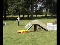 Sheepdog and Ducks demonstration