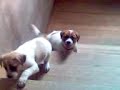 Going Upstairs