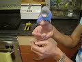 El perico follador