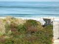 North Carolina - Nags Head - Beautiful Day