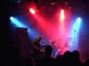 beehoover - the sun behind the dustbin
