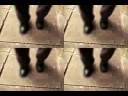 John McCain Promo Video