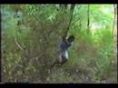 PREDATOR vs HARPERS FERRY Flashback Remix for SCOD