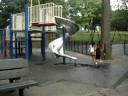 aurie in the park
