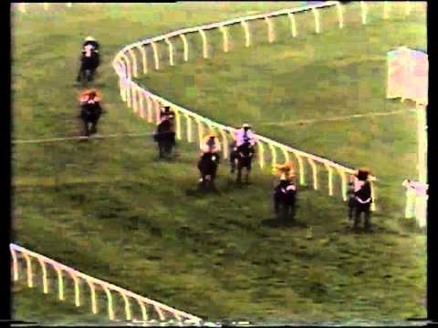 horse racing cheltenham