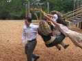 Tire Swing