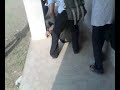 College Prank_Skatting fun