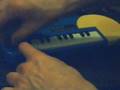 S-CAT (0091) CIRCUIT BENT MICRO SYNTH