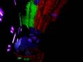 Fun in the Dark