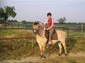 ein video f�r mein pony linus!
leider hat sich die tonspur verschoben...:(