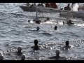 porporela vs solitudo