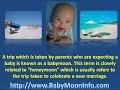 Babymoon Travelling Information Guides.wmv