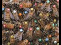 Read more: www.newscientist.com When bees seek out a new home, thousands of bees take part in an intricate process to choose the new site.