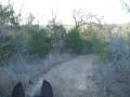 videos de McKinney Roughs - from Bobcat Ridge Trail down to the river