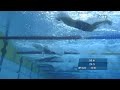 SchwimmEM Eindhoven 2008: Dinko Jukic Silber in 1:59,65