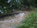 videos de Backyard Flood Plain 4