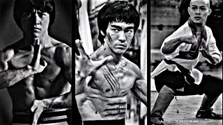 Jackie Chan / Bruce Lee / Jet Li (Prince of Darkne