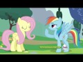 My Little Pony Friendship is Magic - Fluttershy Being Assertive