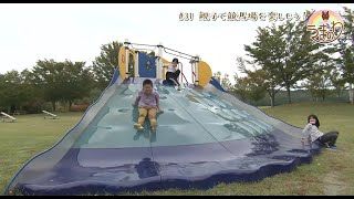 #31 親子で競馬場を楽しもう!